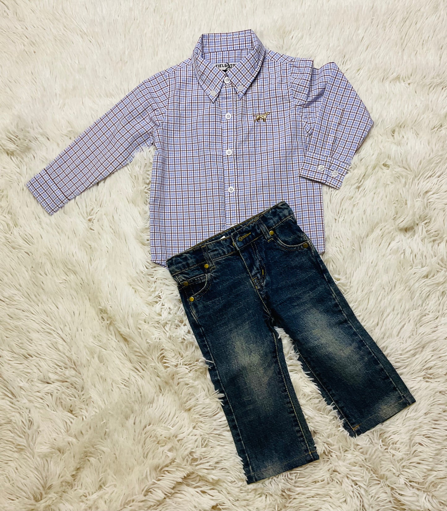 Braxton Button Down