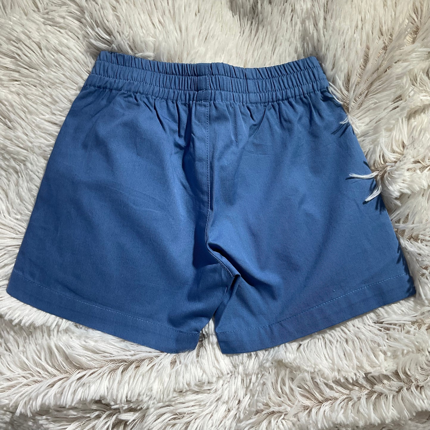 Blue Shorts