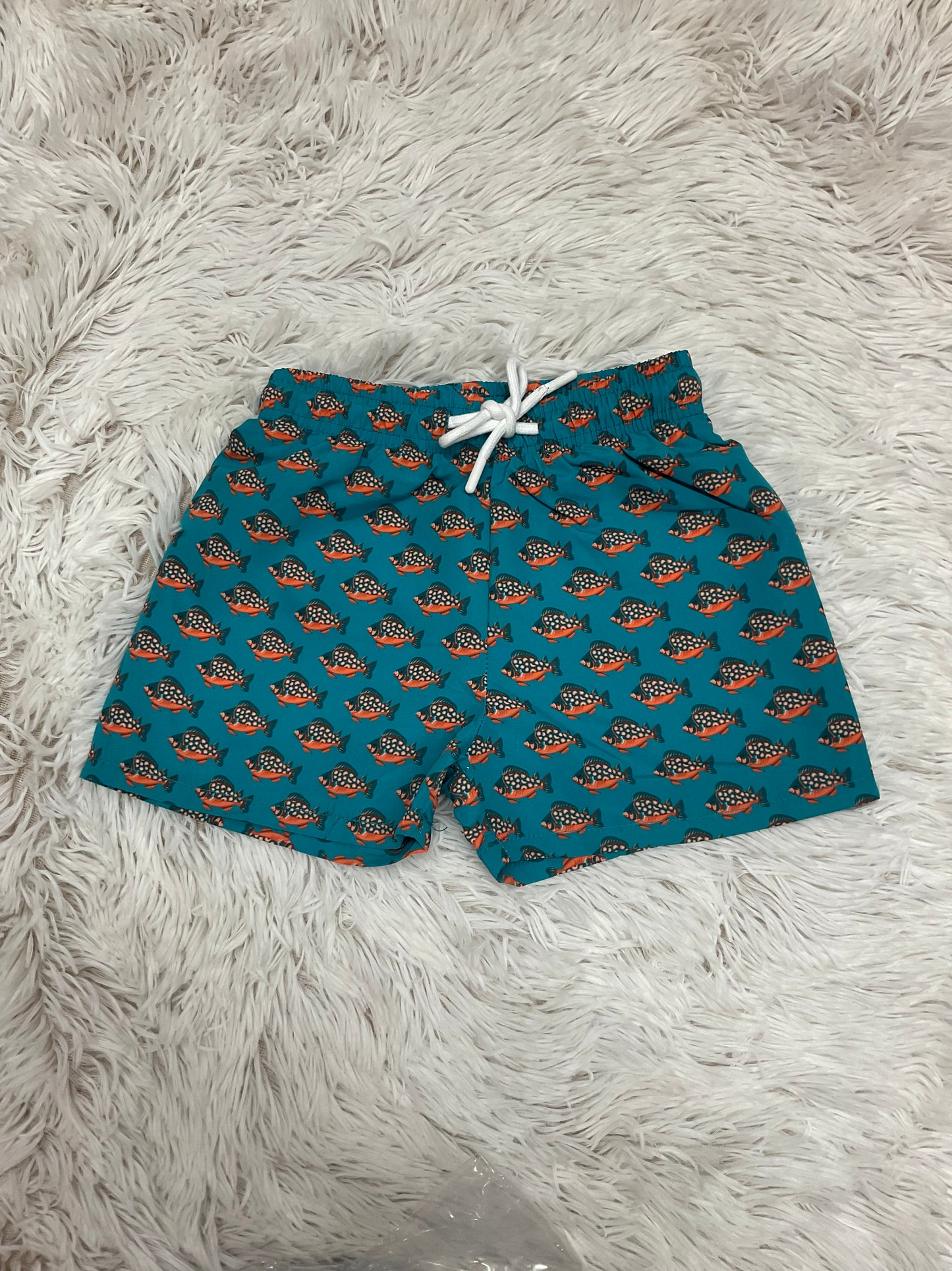 Teal Tropical Fish Saint Simon Swim Trunk
