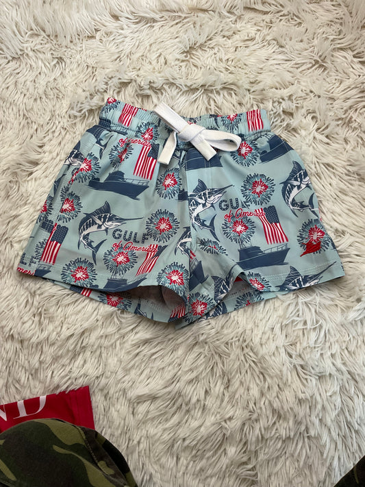 Gulf of America Swim Shorts