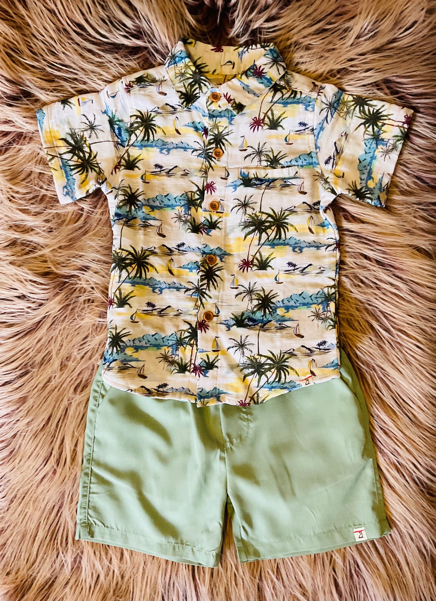 Sage Shorts