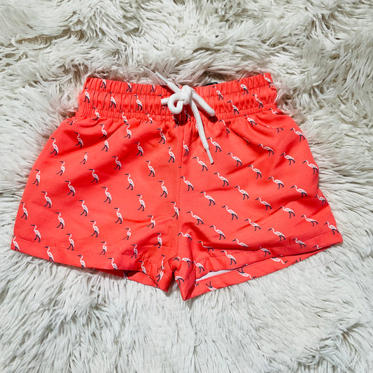 Coral Herons Saint Simon Swim Trunk