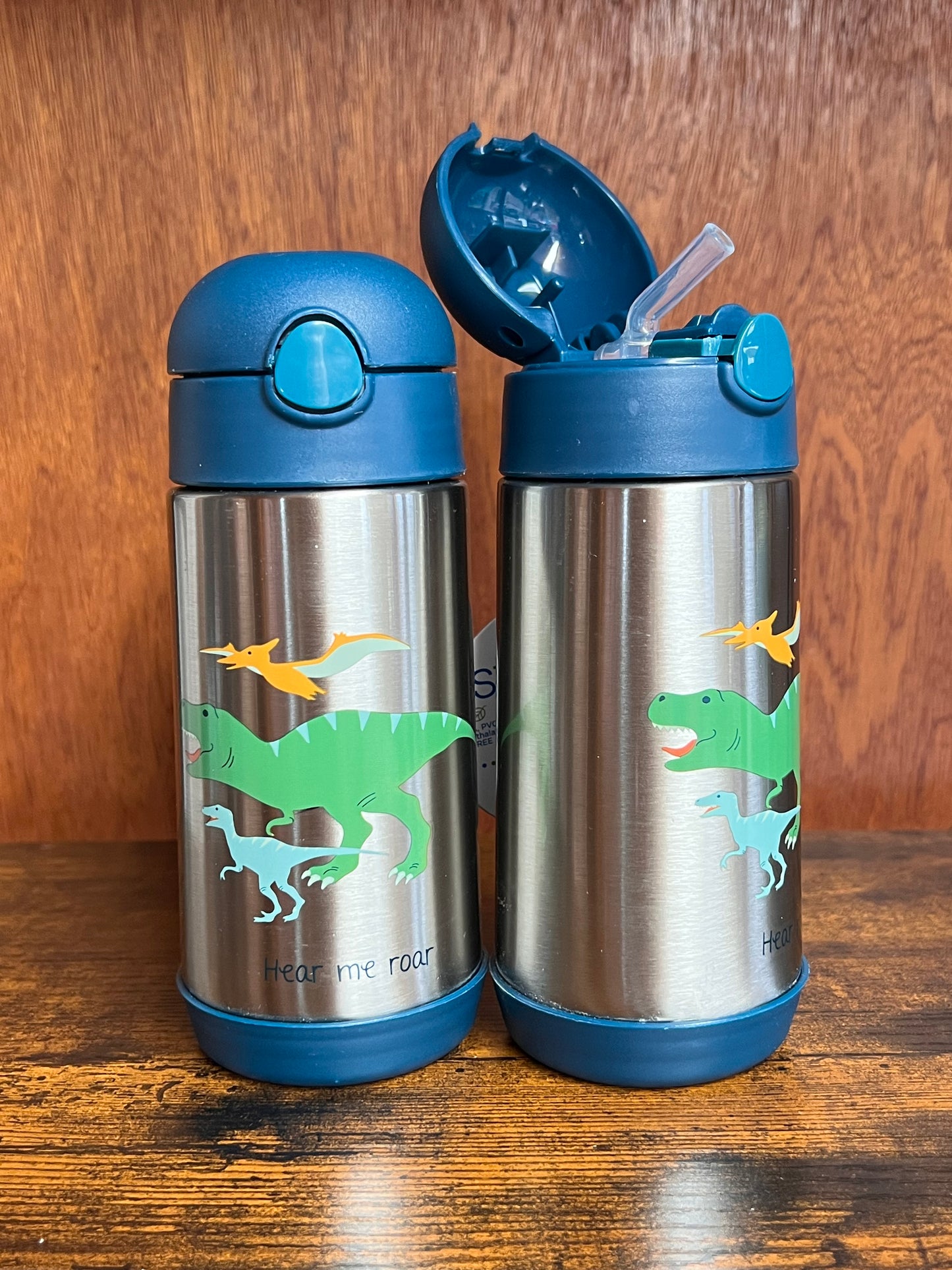 Dino Double Wall SS Bottle